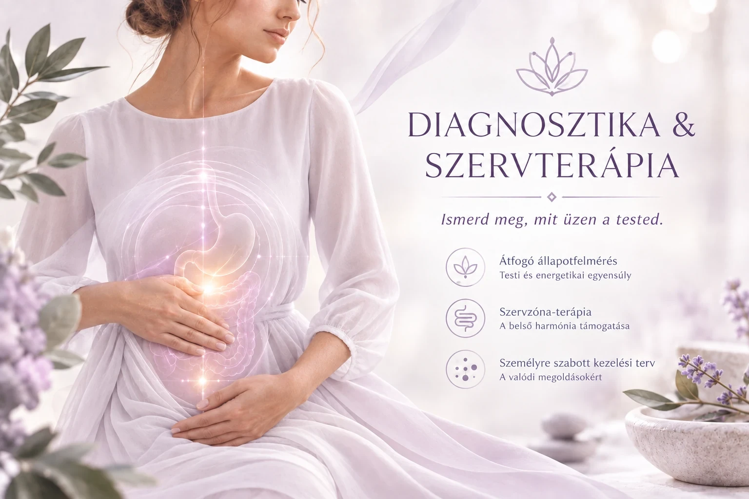 A diagnosztika és szervzónás kezelések meglévő bemutatóképe